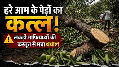 फर्रूखाबाद विश्व पर्यावरण दिवस के बाद हरे पेड़ों पर चला आरा, वन विभाग की कार्रवाई पर उठे सवाल
