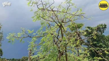 पूर्णिया में बदला मौसम का मिजाज़,
#BiharWeather #RainAlert #purnea