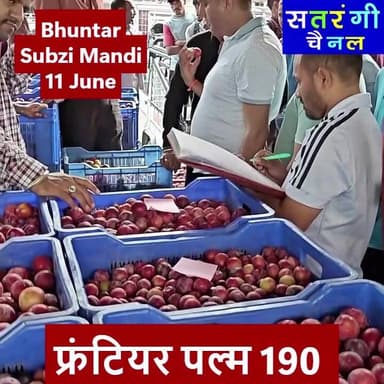 भुंतर सब्ज़ी मंडी में आज दिनांक 11 जून को सब्ज़ियों और फ़लों के थोक भाव यह रहे | देखें वीडियो.....
Plz Subscribe Our Channel.
#bhuntarsubzimandi #takolisubzimandi #solansubzimandi #azadpursubzimandi