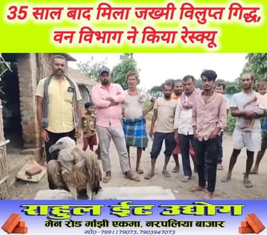 #मांझी प्रखंड के #मझनपूरा में ज*ख्मी अवस्था में मिला विलुप्त प्रजाति का गिद्ध। कौरुधौरु #पँचायत के वार्ड सदस्य धर्मदेव राम के पुत्र मुकेश कुमार राम ने ज*ख्मी #गिद्ध को कुत्तों से बचाकर किया सुरक्षित। सूचना पाकर पहुँची #वन #विभाग की टीम ने गिद्ध को लिया अपने कब्जे में। लोगों ने बताया 35 वर्षों बाद देखने को मिला गिद्ध। पकड़ा गया गिद्ध बच्चों के लिए बना कौतूहल। #Manjhi #Vulture #WildlifeRescue #Bihar #Saran #ForestDepartment #RareBird #NatureLovers
