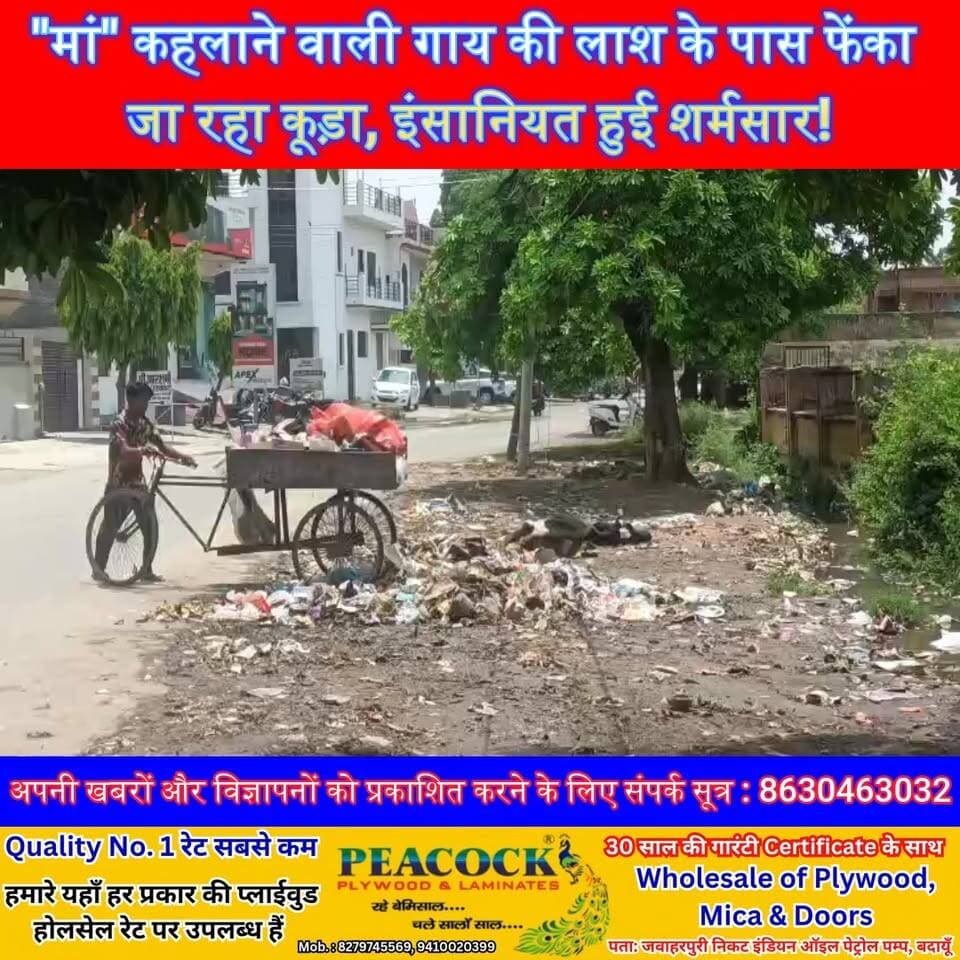 "मां" कहलाने वाली गाय की लाश के पास फेंका जा रहा कूड़ा, इंसानियत हुई शर्मसार!#Badaun #Budaun #AwasVikas #CowNews #AnimalCare #CivicIssue #BadaunNews #SatyamevBharatNews #ViralNews #GroundReport #UPNews #TrendingNews