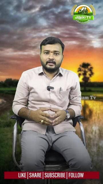 రైతులకు గుడ్ న్యూస్..! పచ్చిరొట్ట విత్తనాలపై 50% సబ్సిడీ