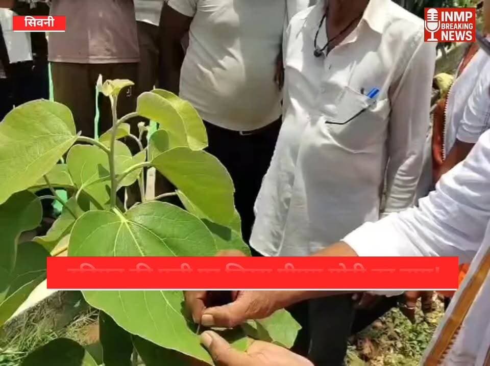 न्यूज सिवनी ब्रेकिंग दहिमन की पत्ती पर लिखा पीएम मोदी का नाम, विधायक दिनेश राय ने साझा किया अनोखा अनुभव !
#NarendraModi #PMModi #BJP #BJP12Years #SevaAurSamarpan #DineshRaiMunmun #Lathgaon #GudduPatel #Kisan #ProgressiveFarmer #Agriculture #DhaniyaBuwai #DahimanPlant #MadhyaPradesh #SeoniNews #Lakhnadon #VillageDevelopment #BJPNews #PoliticalNews #NewsUpdate #ViralNews #TrendingNow #MPNews #IndiaNews #FarmersOfIndia #NatureWonder #ModiGovernment #JanSeva #Development #BreakingNews #Hin