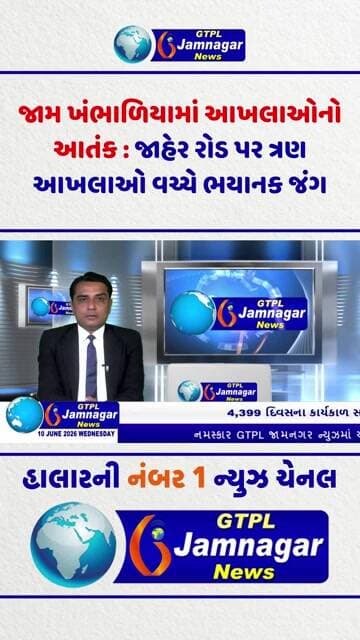 જામ ખંભાળિયામાં આખલાઓનો આતંક : જાહેર રોડ પર ત્રણ આખલાઓ વચ્ચે ભયાનક જંગ...