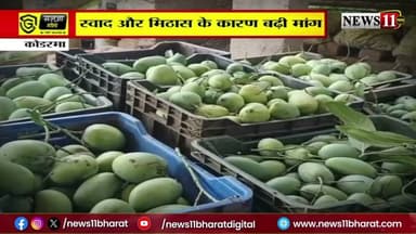 कोडरमा: मसनोडीह के आम की डिमांड, देश के साथ विदेशों में डिमांड