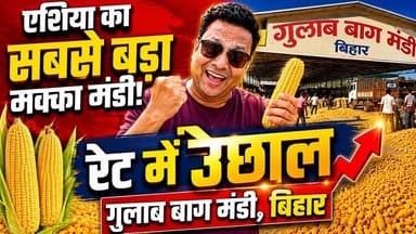 गुलाब बाग मंडी पूर्णिया: मक्का के रेट में शानदार उछाल 🌽 📈 | Purnea Khabar
#MaizePriceJune #MakkaBhav #MarketAnalysis #RateHike #मक्का
किसान भाइयों के लिए बड़ी खबर! एशिया की सबसे बड़ी मक्का मंडी, पूर्णिया के गुलाब बाग मंडी में आज मक्का के भाव में जबरदस्त तेजी देखी गई है।
प्रीमियम क्वालिटी का मक्का ₹2100 के पार पहुंच गया है। क्या आने वाले दिनों में रेट और बढ़ेंगे? देखिए बाजार का पूरा और सटीक विश्लेषण हमारी इस खास रिपोर्ट में।
पूर्णिया और आसपास की हर जरूरी खबर सबसे पहले पाने के लिए Purnea Khabar को फॉलो करें। वीडियो को ज्यादा से ज्यादा शेयर करें ताकि हर किसान और व्यापारी तक यह महत्वपूर्ण जानकारी पहुंचे।