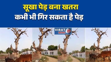 मनगवां में सूखा पेड़ बना बड़ा खतरा
स्कूल के पास जर्जर पेड़ से हादसे की आशंका
तिवनी हाई स्कूल के पास खतरनाक स्थिति
3-4 साल से सूखा पेड़, नहीं हुई कार्रवाई
ग्रामीणों ने पेड़ हटाने की मांग की#RewaNews #Mangawan #SchoolSafety #DangerousTree #DryTreeHazard #PublicSafety #MPNews #BreakingNews #LocalNews #AdministrationFailure