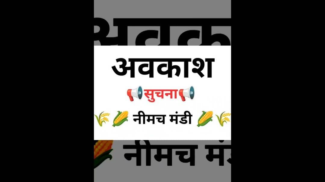 नीमच कृषि मंडी अपडेट #neemuch #shaskiy_awkash #kisan #maharanapratapjayanti #bankclosed