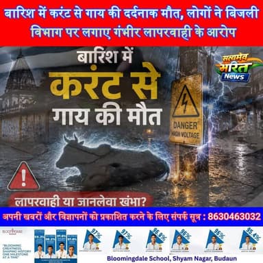 मौत का खंभा बना खतरा! बारिश में करंट से गाय की दर्दनाक मौत, लोगों ने बिजली विभाग पर लगाए गंभीर लापरवाही के आरोप #Badaun #ElectricShock #CowDeath #BreakingNews #ElectricityDepartment #KoochaPanda #UPNews #BadaunNews #SatyamevBharatNews #ViralNews #TrendingNews Vikendra Sharma