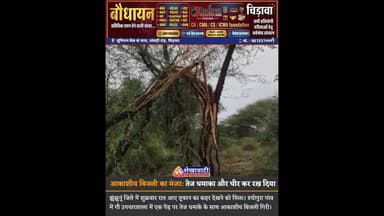 तेज धमाके के साथ गिरी आकाशीय बिजली ने चीर कर रख दिया..#chirawa #jhunjhunu #rajasthan #viralvideo