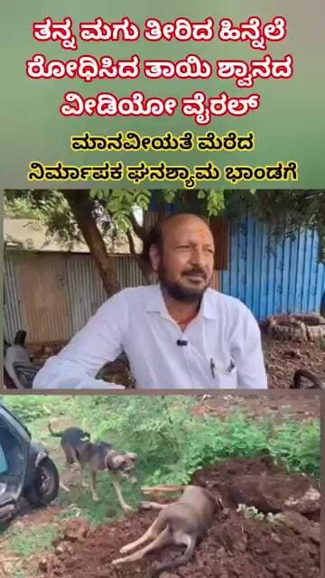 |ಮಗು ಕಳೆದುಕೊಂಡ ತಾಯಿ ಶ್ವಾನದ ರೋಧನೆಯ ಮನಕಲಕುವ ದೃಶ್ಯ| #BagalkotDogVideo #ViralVideo #ViralDogVideo