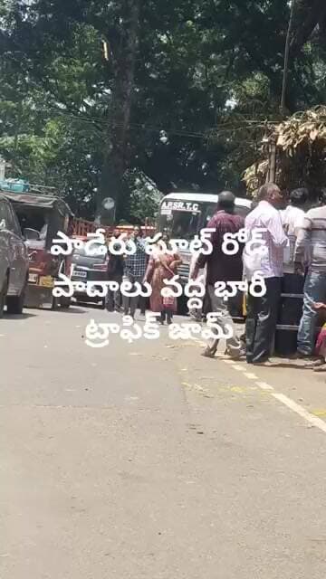 పాడేరు ఘాట్ రోడ్ మార్గంలో అరగంట మేర వాహనాలు నిలిపివేత