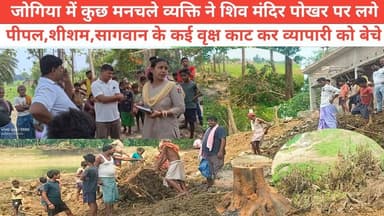 जोगिया में कुछ मनचले व्यक्ति ने शिव मंदिर पोखर पर लगे पीपल,शीशम, सागवान के कई वृक्ष काट कर व्यापारी को बेचे #bhagalpur #viralnews #BreakingNews #NewsUpdate #BhagalpurPolice #seatbelt #jio