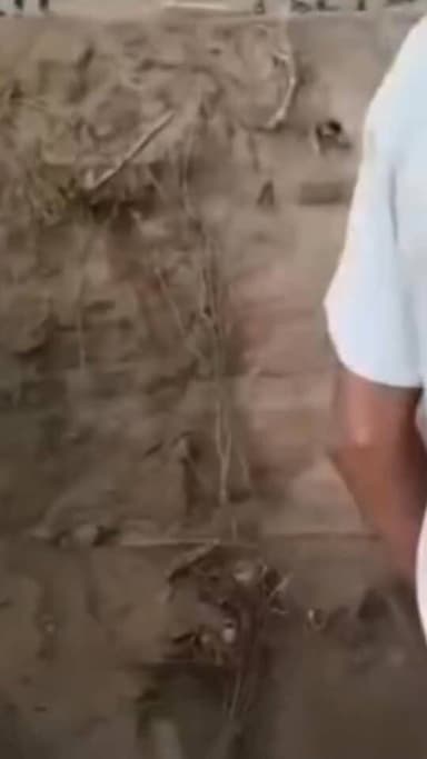 मुंबई में गड्डा में मिट्टी भराई का काम करने के दौरान जेसीबी मशीन की च*पेट में आने से जयनगर के युवक की दर्दनाक मौ*त..
#accident #मुम्बई #majdoor #mouth #koderma #JharkhandNews #KodermaNews #mumbai #MumbaiNews #mumbainewslive