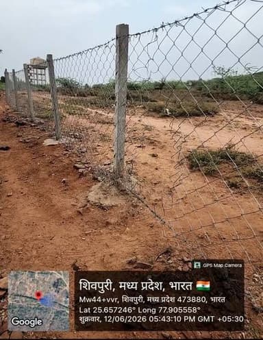 नरवर सब रेंज का मामला
नरवर-मोहिनी रोड पर लाखों की जाली का हाल देखकर लगता है कि वन्यजीवों से ज्यादा खतरा जाली को इंसानों से है। जंगल आज भी वहीं है, लेकिन जाली का आत्मविश्वास जरूर टूट गया है। "नरवर-मोहिनी रोड पर लगी लाखों की जाली ने एक बात साफ कर दी—जंगल की सुरक्षा बाद में हुई होगी, भुगतान की सुरक्षा पहले हो गई।" 📰🔥🌿