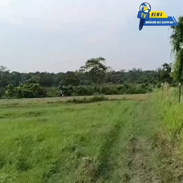 सीमावर्ती क्षेत्र में भारतीय सुरक्षाकर्मियों द्वारा नदी पार करके गश्त के लिए नेपाल में प्रवेश करने के बाद, स्थानीय लोगों ने जवाबी कार्रवाई की और उन्हें रोक दिया, जिससे कुछ विवाद उत्पन्न हो गया।
#न्यूजबिहारकीआवाज #NepalNews #nepalborder