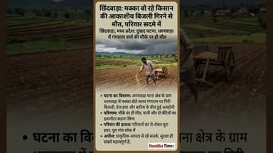 छिंदवाड़ा: मक्का बो रहे किसान पर गिरी बिजली, मौके पर दर्दनाक मौत 😱 #shorts #nandikatimes