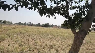 मऊगंज जिले का ग्राम सरई सेंगर आज भी विकास की बाट जोह रहा है। यहाँ के ग्रामीणों का दर्द सुनकर आपकी रूह कांप जाएगी। पिछले १५ सालों से यहाँ के लोग एक अदद पक्की सड़क के लिए गुहार लगा रहे हैं। आलम यह है कि बरसात के मौसम में यहाँ घुटनों तक पानी भर जाता है और किसी बीमार को अस्पताल ले जाने के लिए आज भी 'खटिया' का सहारा लेना पड़ता है। ग्रामीणों का आरोप है कि वर्तमान सरपंच ने चुनाव से पहले वादा किया था कि वे सड़क बनवाएंगे, लेकिन जीत हासिल करने के बाद अब वे जमीन को 'भाई का हिस्सा' बताकर पल्ला झाड़ रहे हैं। पीड़ित भैया दुबे और अन्य ग्रामीणों का कहना है कि वे सड़क के लिए अपनी जमीन देने को तैयार हैं, लेकिन सरपंच के महज २०० मीटर के टुकड़े की वजह से पूरा गांव नरक भोगने को मजबूर है। सवाल यह है कि जनता के वोटों से जीतने वाले प्रतिनिधि अब जनता की तकलीफों से मुंह क्यों फेर रहे हैं?"
#BreakingNews #RuralIndia #GovernanceFailure #MauganjUpdate #PublicOutcry #Injustice #SocialIssue #SanjayKumarJain #MadhyaPradesh #IndiaHeadline24