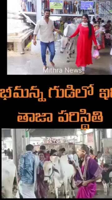 Bhimanna Temple #mithra_news #rajannasiricillanews #vemulawadatemple