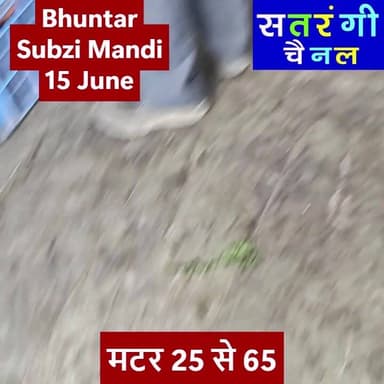 सब्ज़ी मंडी भुंतर में आज दिनांक 15 जून को सब्ज़ियों और फ़लों के थोक भाव यह रहे | देखें वीडियो.....
Plz Subscribe Our Channel.
#bhuntarsubzimandi #takolisubzimandi #solansubzimandi #azadpursubzimandi
