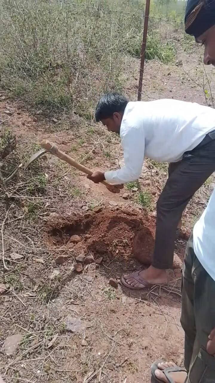 आज उदयपुरा में हमारे सभी भाइयों ने मिलकर हमने वृक्षारोपण किया है।
हमने 1000 पेड़ लगाए हैं
कुछ लोगों के द्वारा हमारे