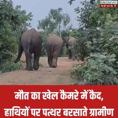 छत्तीसगढ़ में गौरेला-पेंड्रा-मरवाही जिले के मरवाही वन मंडल से दिल दहला देने वाला वीडियो सामने आया है। इस वायरल वीडियो में कुछ ग्रामीण अपनी जान जोखिम में डालकर चार हाथियों के झुंड को बेरहमी से परेशान करते नजर आ रहे हैं। लोग न सिर्फ हाथियों के बेहद करीब पहुंच गए हैं, बल्कि उन पर पत्थर फेंककर उन्हें उकसाने की खतरनाक कोशिश भी कर रहे हैं। हाथियों जैसे विशालकाय वन्यजीवों के साथ ऐसा खिलवाड़ किसी भी वक्त किसी बड़े और जानलेवा हादसे का कारण बन सकता है।
लगातार क्षेत्र में हाथियों का दल मूवमेंट कर रहा है, इसके बावजूद वन विभाग ग्रामीणों को जंगल में जाने से रोकने और हाथियों की निगरानी करने में नाकाम साबित हो रहा है। वन्यजीवों की सुरक्षा को लेकर विभाग की यह ढिलाई प्रशासनिक मुस्तैदी पर गंभीर सवालिया निशान खड़े करती है। अगर समय रहते सख्त कदम नहीं उठाए गए और लोगों को जागरूक नहीं किया गया, तो यहाँ कभी भी भारी जनहानि हो सकती है। इस लापरवाही पर आपकी क्या राय है? कमेंट में बताएं।
#Chhattisgarh #Marwahi #ViralVideo #ElephantReserves #WildlifeSafety #ForestDepartment #Alert #GPMNews #FatafatNews