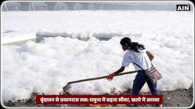 कॉकरोच प्रोटेस्ट” के माध्यम से यमुना-गंगा प्रदूषण के खिलाफ चेतावनी
#viralreels #BreakingNews #cjp #cjpprotest
