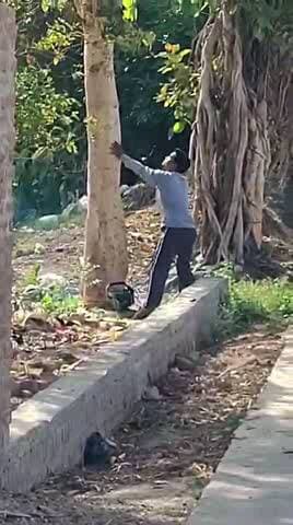 ग्राम ककरैया मे 50 साल पुराना पेड़ PWD सड़क के किनारे खड़ा था जिसे जबरन तेज सिंह s/O सीता राम के द्वारा कटवा दिया गया