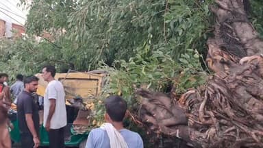 🚨 बदायूं में आंधी-बारिश का कहर, अलग-अलग हादसों में तीन की मौत
बदायूं। सोमवार देर शाम आई तेज आंधी और बारिश ने जिले में भारी तबाही मचा दी। गद्दी चौक पर एक विशाल पेड़ ऑटो पर गिरने से एक युवती की मौत हो गई, जबकि चालक घायल हो गया।
वहीं, हजरतपुर थाना क्षेत्र के जमालपुर गांव में ट्यूबवेल के पास बनी झोपड़ी पर ट्रांसफार्मर और बिजली का पोल गिरने से दो मासूम भाई-बहन की जान चली गई।
पुलिस ने तीनों शवों को पोस्टमार्टम के लिए भेज दिया है। आंधी-बारिश के चलते जिले के कई हिस्सों में पेड़ उखड़ गए और बिजली व्यवस्था भी प्रभावित रही।
📍 बदायूं, उत्तर प्रदेश
#Badayun #Badaun #BadayunNews #BreakingNews #UPNews #BadaunBreaking #Hazratpur #Jamalpur #LocalNews #WeatherAlert #UttarPradesh #SocialistSonuYadav