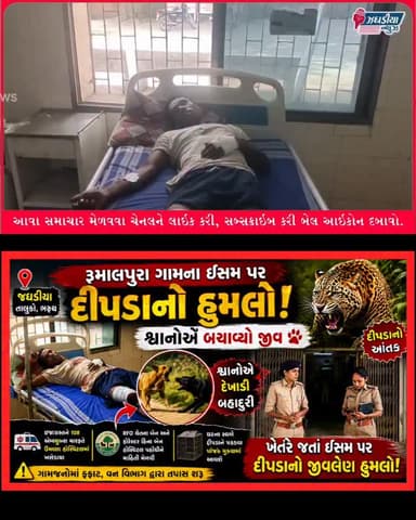 LeopardAttack #Rumalpura #Zaghadia #Bharuch #WildlifeNews