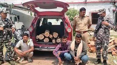 बलरामपुर से बड़ी खबर 🚨
एसएसबी व वन विभाग की संयुक्त कार्रवाई में चंदन तस्करी का भंडाफोड़, आठ बोटा लकड़ी बरामद।
बलरामपुर। भारत-नेपाल सीमा से सटे हर्रैया थाना क्षेत्र के बनकटवा रेंज में चौधरीडीह चौराहे पर एसएसबी और वन विभाग की संयुक्त टीम ने बड़ी कार्रवाई करते हुए चंदन की लकड़ी की तस्करी का भंडाफोड़ किया है। कार्रवाई के दौरान आठ बोटा चंदन की लकड़ी बरामद की गई तथा तीन आरोपितों को गिरफ्तार कर लिया गया।
वेश कीमती चंदन की लकड़ी को तस्करी करने में दो कानपुर देहात के व एक कन्नौज के तस्कर शामिल हैं।
#Balrampur #Harrayya #BorderSecurity #ForestCrime #Sandalwood #PoliceAction #UttarPradesh #HindiNews #NewsUpdate #ViralNews #LocalNews #IndiaNews #BorderArea #ForestProtection #CrimeUpdate #LatestNews