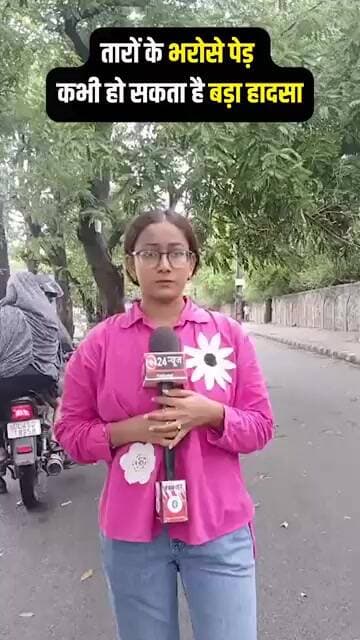 तारों के भरोसे लटका पेड़! कभी भी हो सकता है बड़ा हादसा | आंधी के बाद खतरनाक हालात