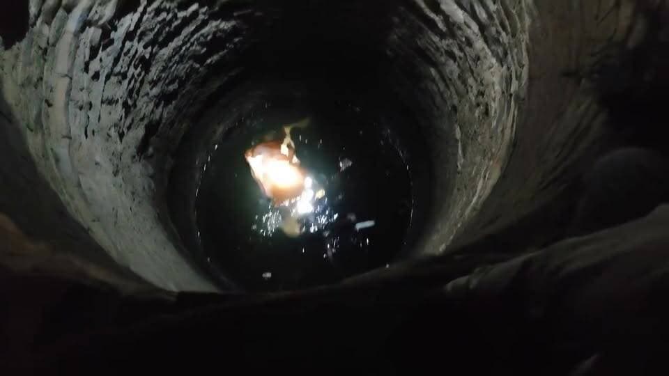 विजयपुर तहसील के बांगरोद पंचायत के जौमा का पुरा गांव में बने गहरे कुएं में गिरा सांड, ग्रामीण निकालने की कर रहे कोशिश....
#sheopur #chambaltv #vijaypur