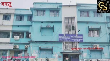 স্বচ্ছতা অভিযানে বিডিও ঝাঁটা হাতে জয়নগরে #GSB #BDO #CM #SuvenduAdhikari #BJPGovernment #bjpwestbangal #joynagarindia