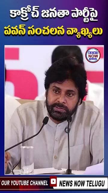 కాక్రోచ్ జనతా పార్టీపై పవన్ సంచలన వ్యాఖ్యలు.//Pawan makes sensational comments on the