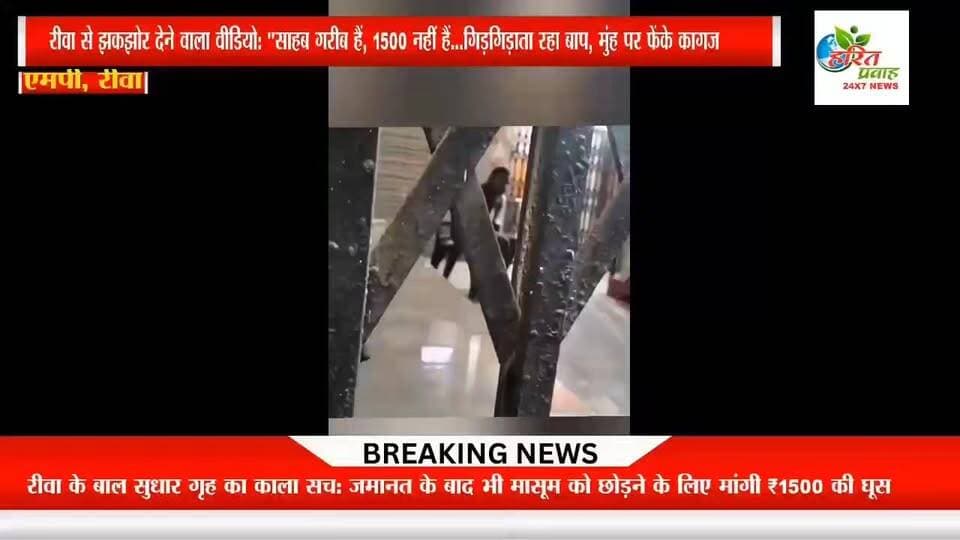 रीवा से झकझोर देने वाला वीडियो: "साहब गरीब हैं, ₹1500 नहीं हैं..." गिड़गिड़ाता रहा बाप, मुंह पर फेंके कागज किशोर सुधार गृह का मामला ,,,,,,अधिकारियो के बयान शेष
#LadliBehnaYojanaMP @highlight Dr Mohan Yadav Rajendra Shukla IG REWA सुखेन्द्र सिंह बन्ना फैंसक्लब #mauganjsp Collector Rewa @highlight मध्यप्रदेश कांग्रेस कमेटी भोपाल मनीष पटेल रीवा हरित प्रवाह न्यूज SP Rewa MP @highlight मनगवां विधानसभा छेत्र Ranjna Mishra @highlight मनीष शुक्ला Rajendra Shukla Fans Pradyuman 4U Namaste Sidhi Maya Kushwaha EngineerNarendra Prajapati आपन रीवा आपन बघेली (Aapan Rewa Aapan Bagheli) अजय सिंह"राहुलभैया" दीपक सिंह गहरवार पत्रकार @
रीवा_का_काला_सच #RewaNews #MadhyaPradesh #CorruptionAllegations #mphealthdepartment #LadliBehnaYojanaMP #MadhyaPradesh
