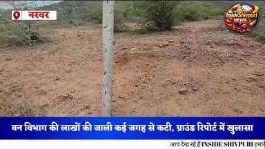 लाखों की जाली, चंद दिनों की कहानी
वन विभाग की नरवर सब रेंज ने किया कमाल
#Narwar #ShergarhForest #Plantation #ForestDepartment #ShivpuriNews #InsideShivpuri #MPNews #EnvironmentalNews #NarwarNews #ForestProtection #insideshivpuri