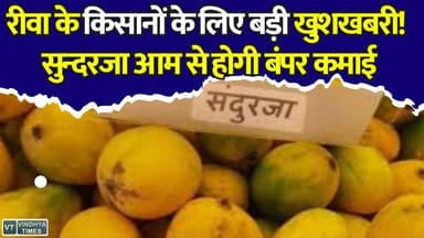 रीवा के किसानों के लिए बड़ी खबर! सुन्दरजा आम की खेती से बदल सकती है तकदीर
#vindhyatimes #rewanews #satnanews #shahdolnews #sidhinews #annupurews #umariyanews #singraulinews #naigarhinews #news #mpnews #hindinew #live #bhopal #indore #newsupdate #newslive #SundarjaMango #GITag #Rewa #RewaNews #MangoFarming #MPNews #FarmingTips #Agriculture #KisanNews #BreakingNews