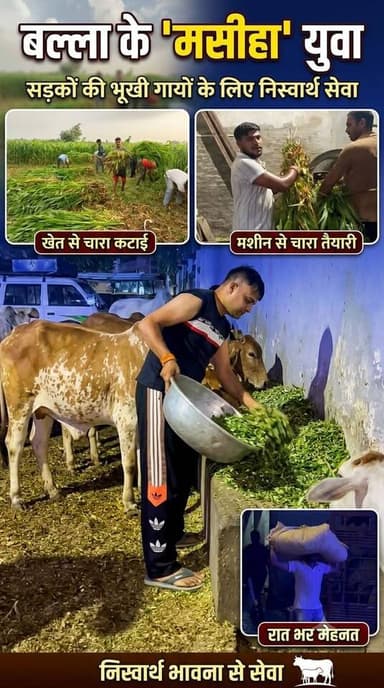 सड़कों पर भटकती भूखी लाचार - बेशहारा गायों का सहारा बने बल्ला के युवा, दिन-रात एक कर कर रहे हैं निस्वार्थ सेवा। 👏
#BallaVillage #Karnal #Haryana #Assandh #KarnalNews #HaryanaNews #HaryanaUpdate #GauSeva #GauMata #AnimalWelfare #Humanity #SocialWork #YouthPower #Inspiration