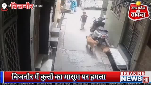 उत्तर प्रदेश में #बिजनौर में आवारा कुत्तों के झुंड ने एक मा,सूम बच्चे पर ह,म,ला कर दिया।
✍️ घा,य,ल बच्चे को उपचार के लिए अस्पताल में भर्ती कराया गया है। स्थानीय लोगों की तत्परता से उसकी जान बच पाई।
#Bijnor