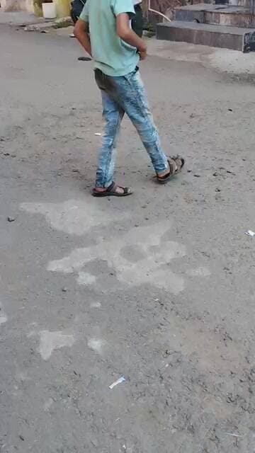 कुतिया का डर छोटे बच्चों में! बांसवाड़ा की हर गली में | वजह जानवर प्रेमी संगठन?