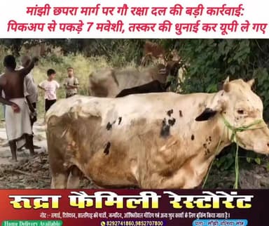 मांझी छपरा मुख्यमार्ग पर धनी छपरा गांव के समीप गोरक्षा दल के सदस्यों ने पिकअप पर लादकर तस्करी हेतु ले जाये जा रहे मवेशियों को पकड़ा। बैरिया से खदेड़ते धनी छपरा पहुँचे गोरक्षा दल के सदस्यों की मौजूदगी में लोगों ने एक तस्कर को पकड़कर उसकी जमकर धुनाई कर दी। पकड़े गए तस्कर को अपने साथ यूपी ले गए गोरक्षा दल के सदस्य। सूचना पाकर पहुंची पुलिस ने पिकअप समेत सात मवेशियों को लिया अपने कब्जे में। मौके पर जुटी लोगों की भीड़। #मांझी #छपरा #गौरक्षा_दल #मवेशी_तस्करी #धनीछपरा #सारण #बिहार_न्यूज #पुलिस_कार्रवाई #पिकअप_जब्त #बैरिया