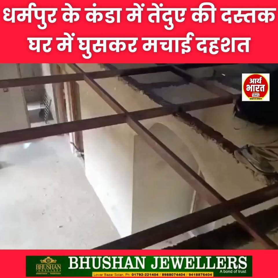 धर्मपुर के कंडा में घर में घुसा तेंदुआ, वन विभाग को चकमा देकर फरार! 🐆😱
इलाके में दहशत का माहौल, लोगों से सतर्क रहने की अपील।
#Dharampur #Kanda #Leopard #LeopardAlert #Wildlife