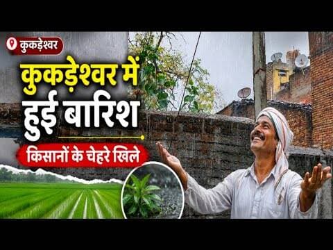 कुकड़ेश्वर में हुई बारिश | किसानों के चेहरे खले #kukdeshwar #baarish #mp_mosam #weather_update #mpcg