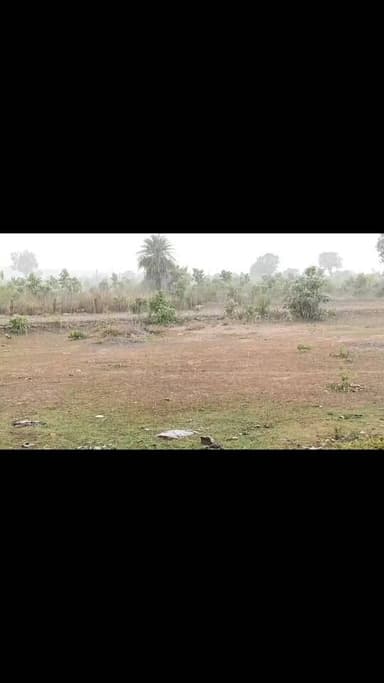 रीठी तहसील सहित आसपास क्षेत्रों में राहत की बारिश, उमस भरी गर्मी से मिली निजात