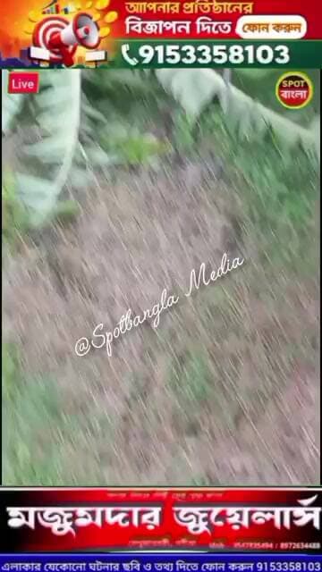 #viral বিচুলির পালায় আগুন এবং সেগুন, মেহগনি, পেঁপে, কলাগাছ কেটে ও পুকুরের মাছ ধরায় থানায় অভিযোগ