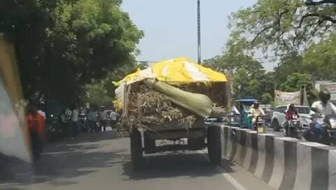 बाराबंकी | नगर पालिका की कूड़ा गाड़ियों की हालत बदहाल, शहर भर में कूड़ा उठाने में हो रही परेशानी।
#बाराबंकी #नगरपालिका #स्वच्छताअभियान #virałpost #viralvídeo