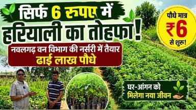 🌱 सिर्फ 6 रुपए में हरियाली का तोहफा! नवलगढ़ वन विभाग की नर्सरी में तैयार ढाई लाख पौधे, घर-आंगन को मिलेगा नया जीवन 🌳
नवलगढ़। पर्यावरण संरक्षण को बढ़ावा देने के लिए वन विभाग ने बड़ी पहल की है। नवलगढ़ वन विभाग की सरकारी नर्सरी में ढाई लाख पौधे तैयार किए गए हैं, जिन्हें आमजन को बेहद कम कीमत पर उपलब्ध कराया जा रहा है।
वन विभाग की नर्सरी में पौधों की कीमत मात्र 6 रुपए से शुरू होकर 15 रुपए तक रखी गई है, ताकि हर व्यक्ति आसानी से पौधे लगाकर हरियाली बढ़ाने में अपना योगदान दे सके।
खास बात यह है कि वन विभाग द्वारा तैयार किए गए ये पौधे स्थानीय वातावरण के अनुकूल हैं, जो क्षेत्र की सर्दी और गर्मी दोनों मौसम को आसानी से सहन कर सकते हैं।
वन विभाग ने लोगों से अपील की है कि अधिक से अधिक पौधे लगाएं और प्रकृति को हरा-भरा बनाने में सहयोग करें। कम कीमत में मिलने वाले ये पौधे आने वाली पीढ़ियों के लिए स्वच्छ हवा और बेहतर पर्यावरण का आधार बनेंगे। 🌿
#ShekhawatiPost #nawalgarh #jhunjhunu #trees