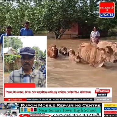 🌊৬, ৯ আৰু ৩ নং ৱাৰ্ডত হাহাকাৰ, আবদ্ধ বহু লোক
🚨 দিচাং-টাওকাকৰ বুকুত কঁপিছে সোণাৰি: বানৰ কবলত কেইবাটাও পৰিয়াল, নাই কোনো উদ্ধাৰকাৰী!
🔴তিনি নদীৰ বাঢ়নী পানীৰ তাণ্ডৱ!
🌊সোণাৰিত গৃহহাৰা বহু পৰিয়াল,
🚨পৰিস্থিতি অপৰিবৰ্তি
