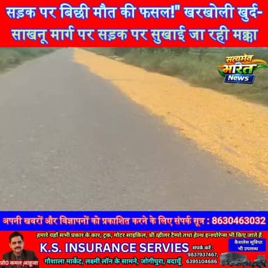 सड़क पर बिछी मौत की फसल!" खरखोली खुर्द-साखनू मार्ग पर सड़क पर सुखाई जा रही मक्का, हर पल मंडरा रहा बड़े हादसे का खतरा | #Badaun #JagatRoad #RoadSafety #BreakingNews #KharKholiKhurd #Sakhanu #AccidentAlert #UPNews #ViralNews